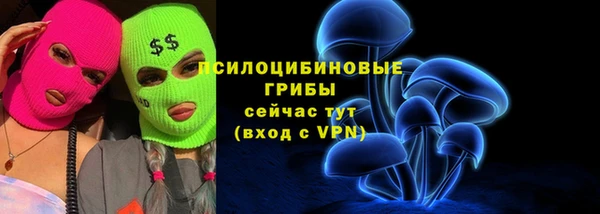 хмурый Арсеньев