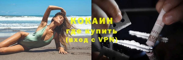 хмурый Арсеньев