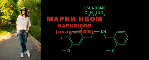 хмурый Арсеньев
