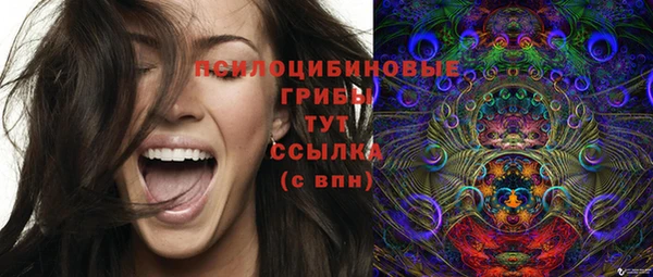 MDMA Premium VHQ Аркадак