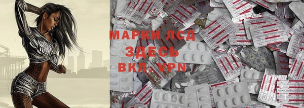 хмурый Арсеньев