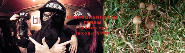 хмурый Арсеньев
