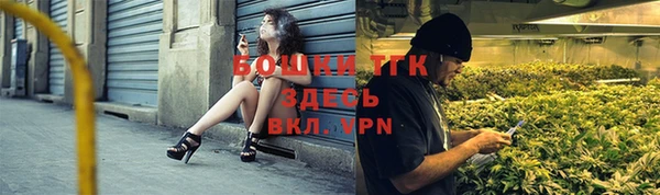 хмурый Арсеньев