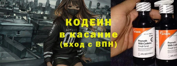 хмурый Арсеньев