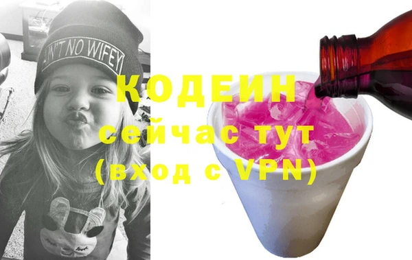хмурый Арсеньев