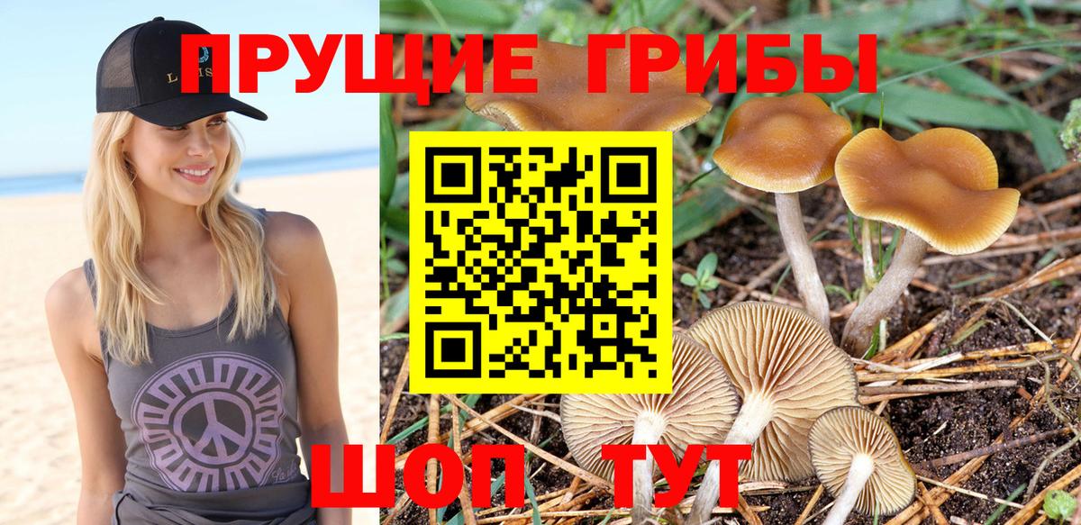 Псилоцибиновые грибы мицелий  Галлюциногенные грибы ЛСД  Вход с VPN  Барабинск 
