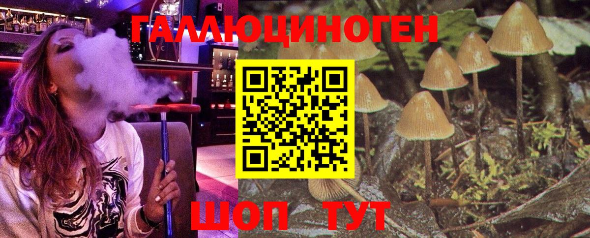 Псилоцибиновые грибы GOLDEN TEACHER Барабинск